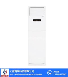 黃家商用中央空調(diào)維修與選購(gòu)指南 家用與商用中央空調(diào)的選擇與維護(hù)